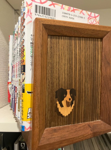 本棚の側面