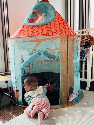 子ども用室内テントに入ろうとする赤ちゃん