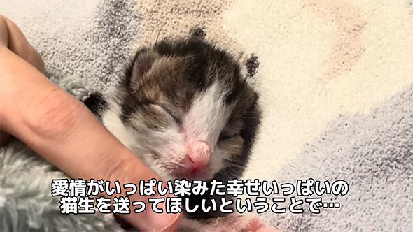 愛情がいっぱい染みた