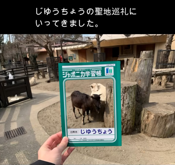 ジャポニカ学習帳 じゆうちょう 聖地巡礼 トリックアート ネタ