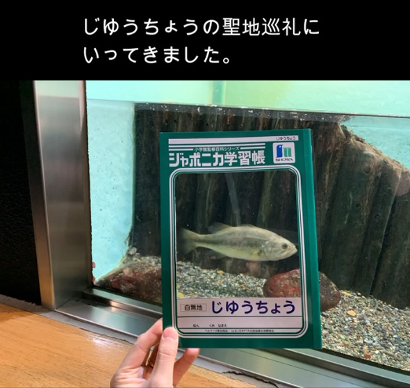 ジャポニカ学習帳 じゆうちょう 聖地巡礼 トリックアート ネタ