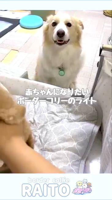 おすすめ