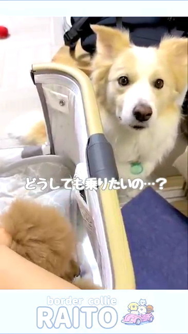 横からまわりこむ