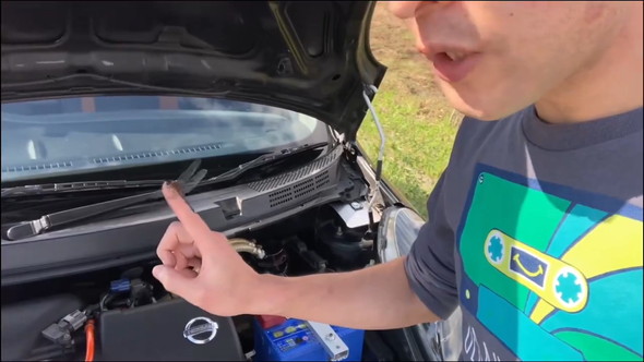 男性の指に止まるトンボ