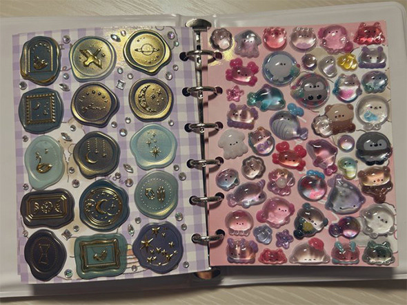 大人の財力を使ったシール帳