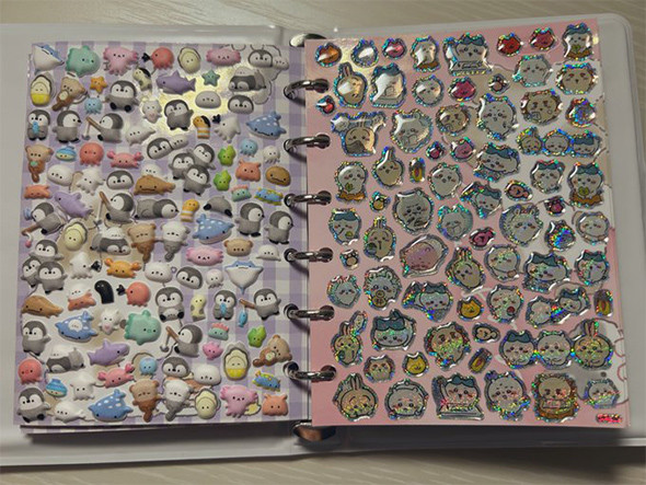 大人の財力を使ったシール帳