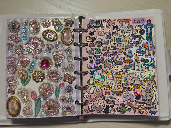 大人の財力を使ったシール帳