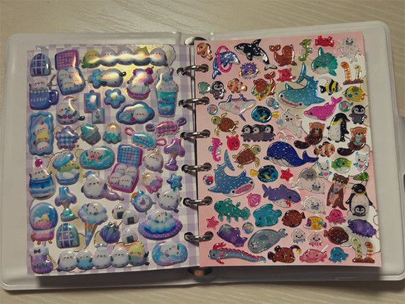 大人の財力を使ったシール帳