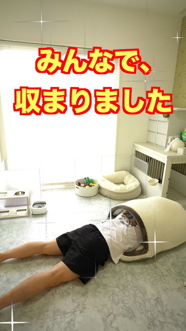 おさまりました