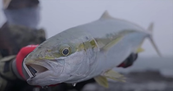 大雨の中、ずぶぬれで釣りをしていたら