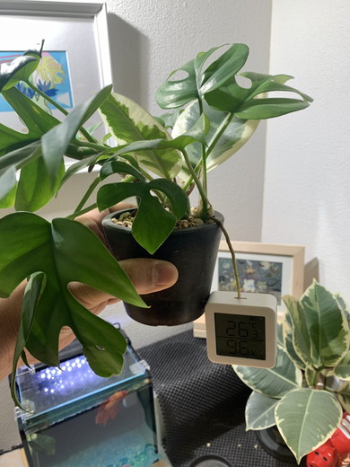 不正アクセスされた温湿度計