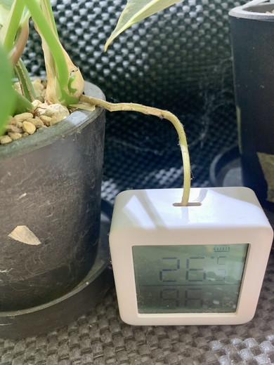 不正アクセスされた温湿度計