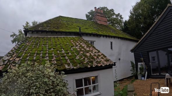 屋根をおおう苔