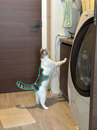 背中に猫がいるニャンコ