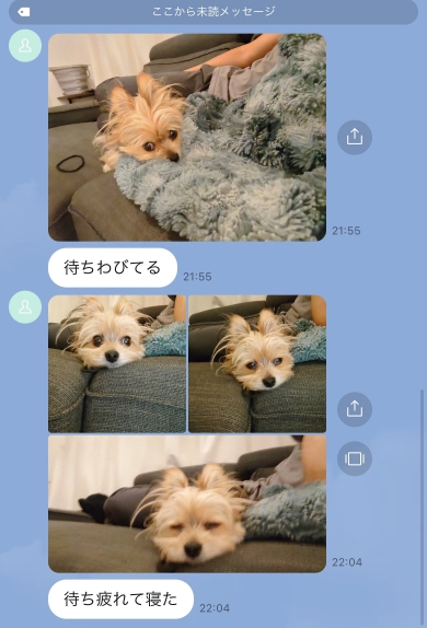 LINEの画像