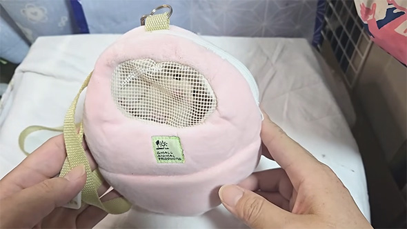 ポーチの中のフクロモモンガ