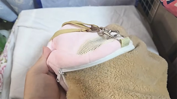 ポーチにタオルをつっこむ