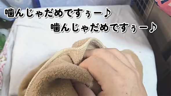 かんじゃだめですぅ