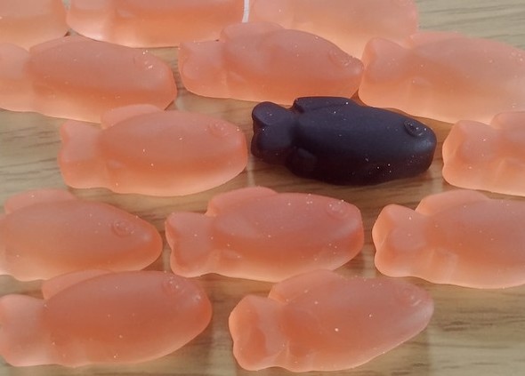 『スイミー』をスイミーグミで再現