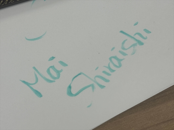 白石麻衣 中島健太 日本美術展覧会 日展 乃木坂46