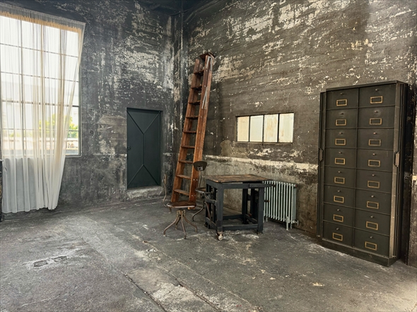 白石麻衣 中島健太 日本美術展覧会 日展 乃木坂46