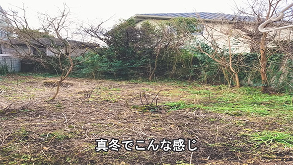 真冬でこんな感じ