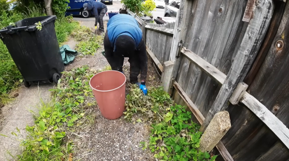 庭に伸びきった雑草を除去する