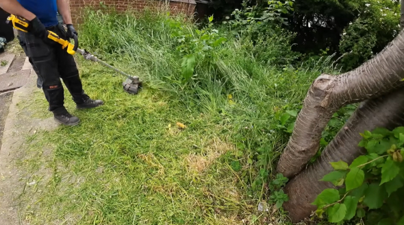 庭に伸びきった雑草を除去する