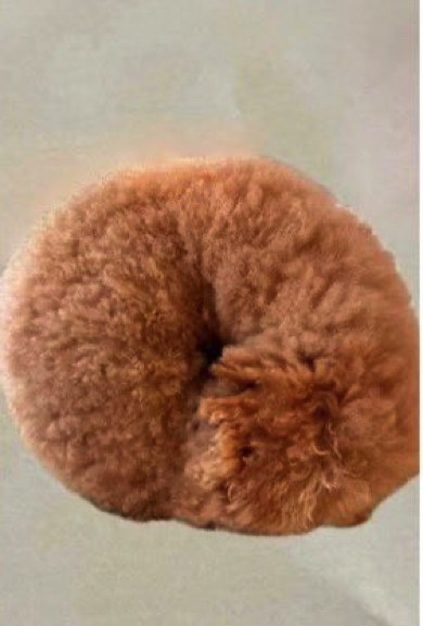 正解は上から2番目の右から2番目の写真