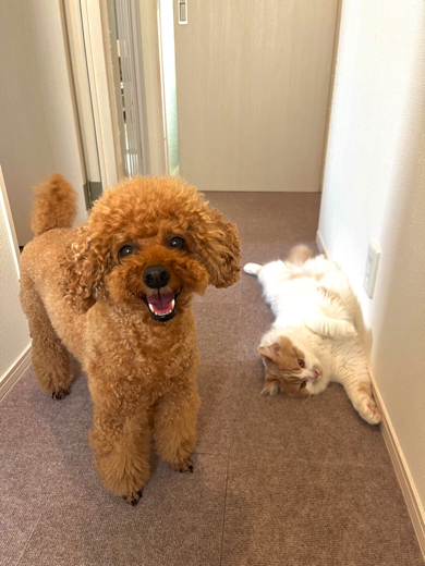 キキくんとのショット