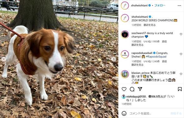 ワールドシリーズ優勝後に大谷翔平が公開した愛犬・デコピン