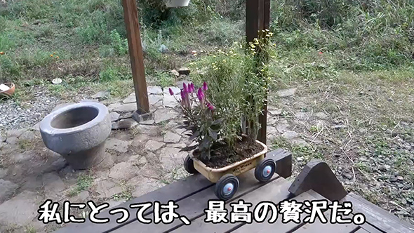 70代のリアルな田舎暮らし