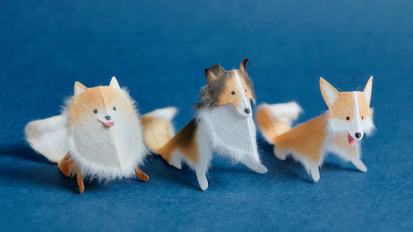 コーギーやポメラニアンと