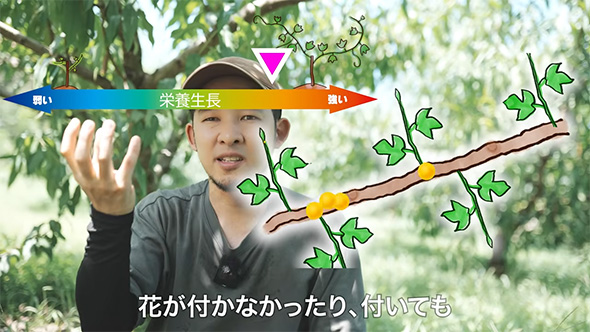 花がつかなかったり