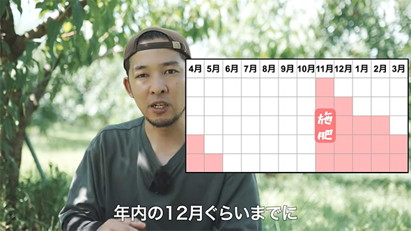 年内の12月までに