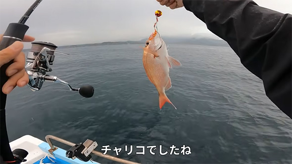 チャリコでした