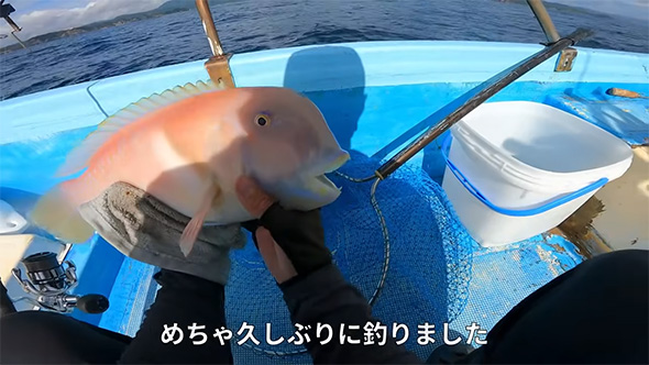 めちゃ久しぶりに