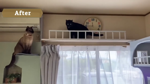 シンママ 3カ月間 築古 賃貸 リビング 大改造 DIY メイキング 収納 アイデア