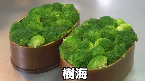 夫婦喧嘩 次の日 やり返し 弁当 森 料理 ブロッコリー