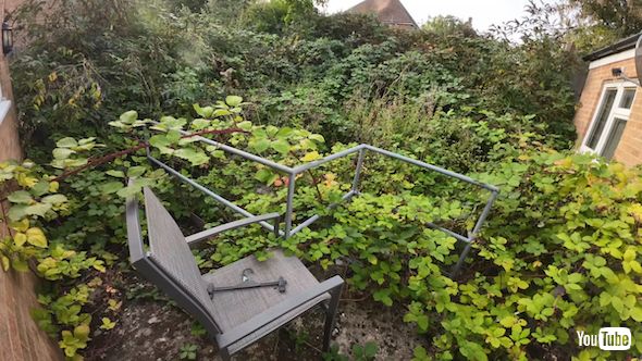 悪夢の庭の掃除