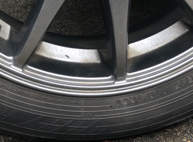 危ない場所でくつろぐカニ