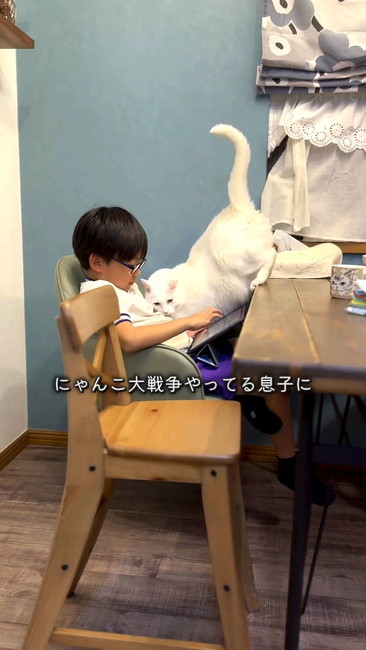 にゃんこ大戦争