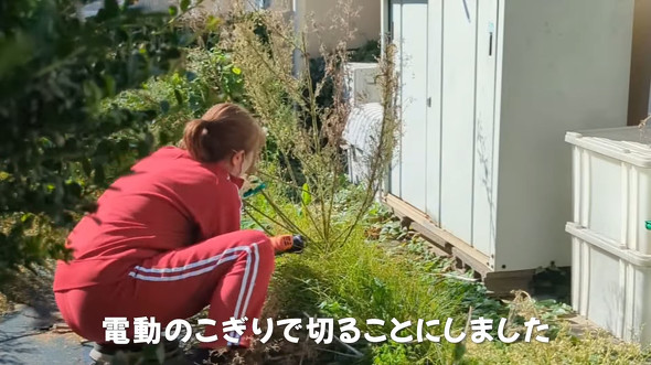 雑草がボーボーな庭を徹底的に草取り