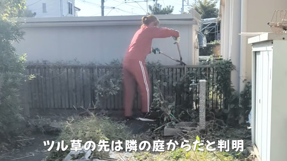 雑草がボーボーな庭を徹底的に草取り