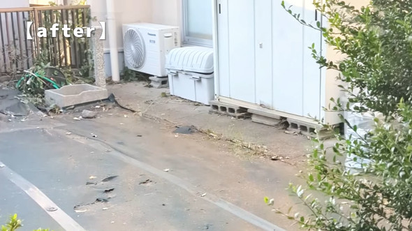 雑草がボーボーな庭を徹底的に草取り