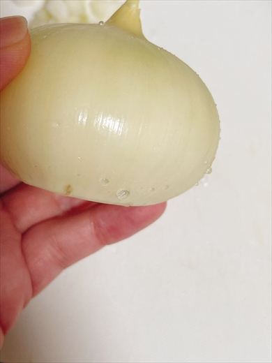 ニンニク　たまねぎ　野菜