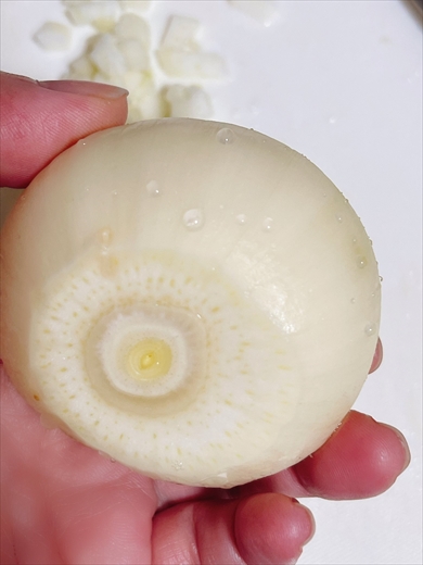 ニンニク　たまねぎ　野菜