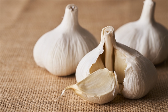 ニンニク　たまねぎ　野菜