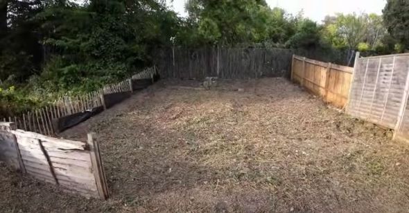 庭の草刈りが完了した様子