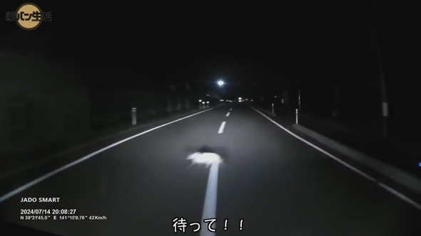 軽バン 2人暮らし 車生活 怖かった 体験 カメムシ 大絶叫 車中泊 旅